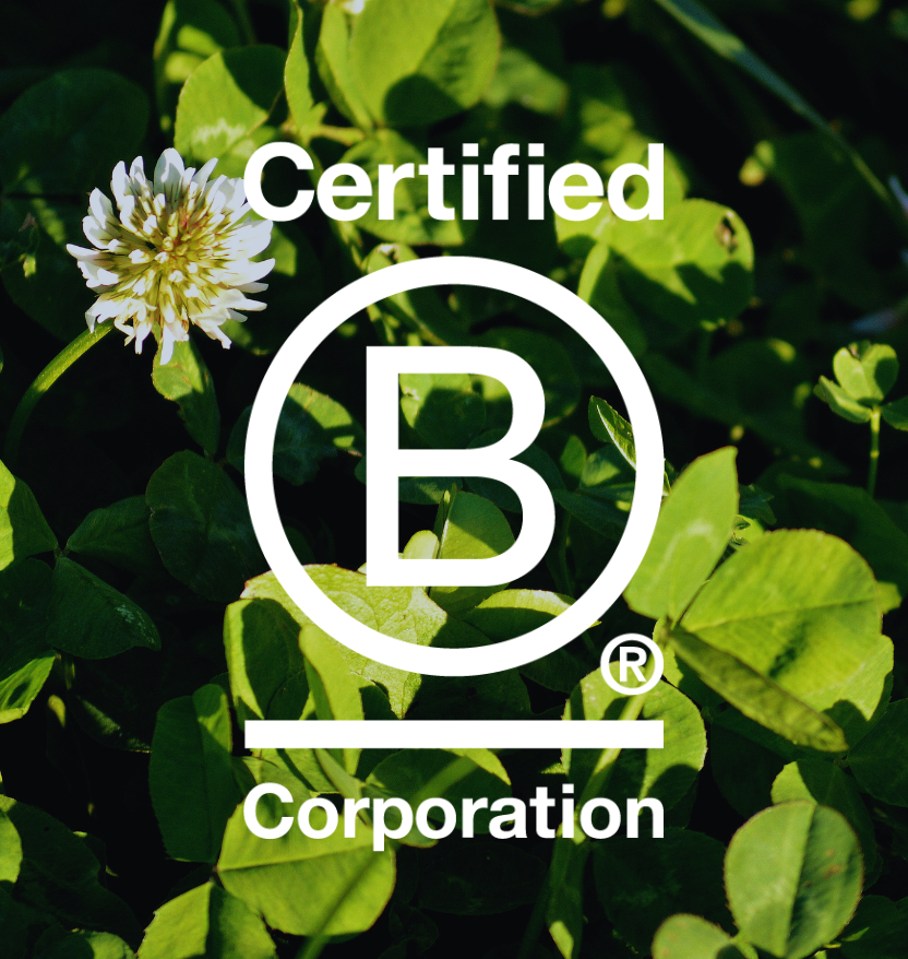 Stratus Becomes Ontario’s First B Corp Certified Winery