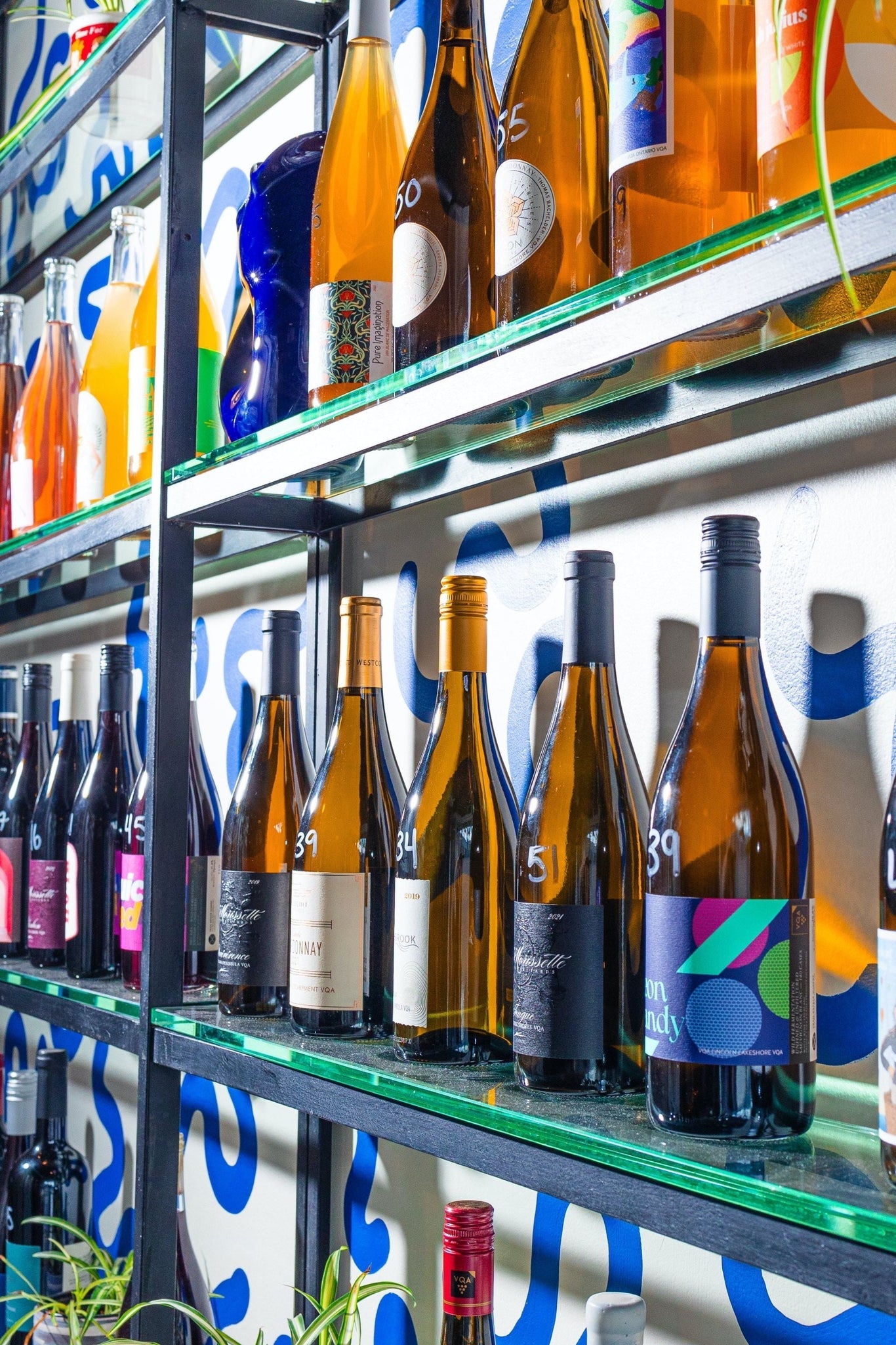 Ricky + Olivia Takeover | Toronto