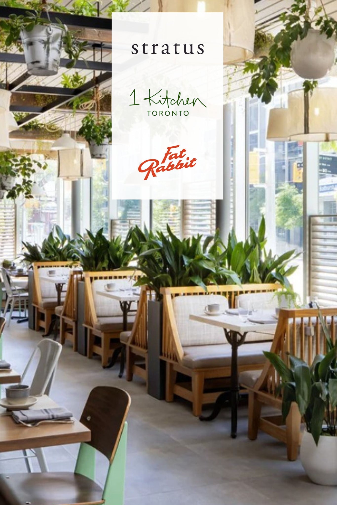 The Rabbit Comes To Town | 1 Kitchen