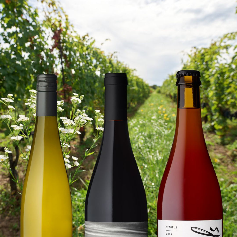 JUNE 2026 CLUB SEASONS | 3 BOTTLE