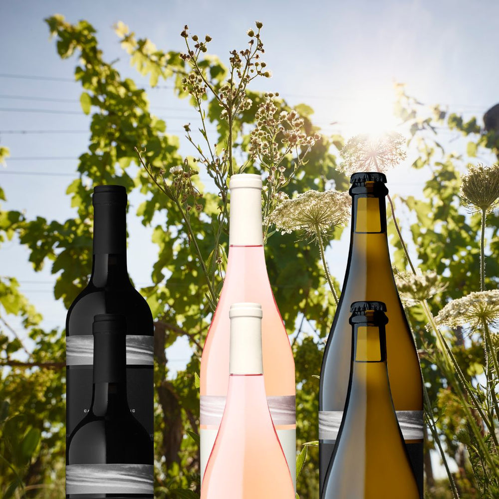 JUNE 2023 CLUB SEASONS | 6 BOTTLE