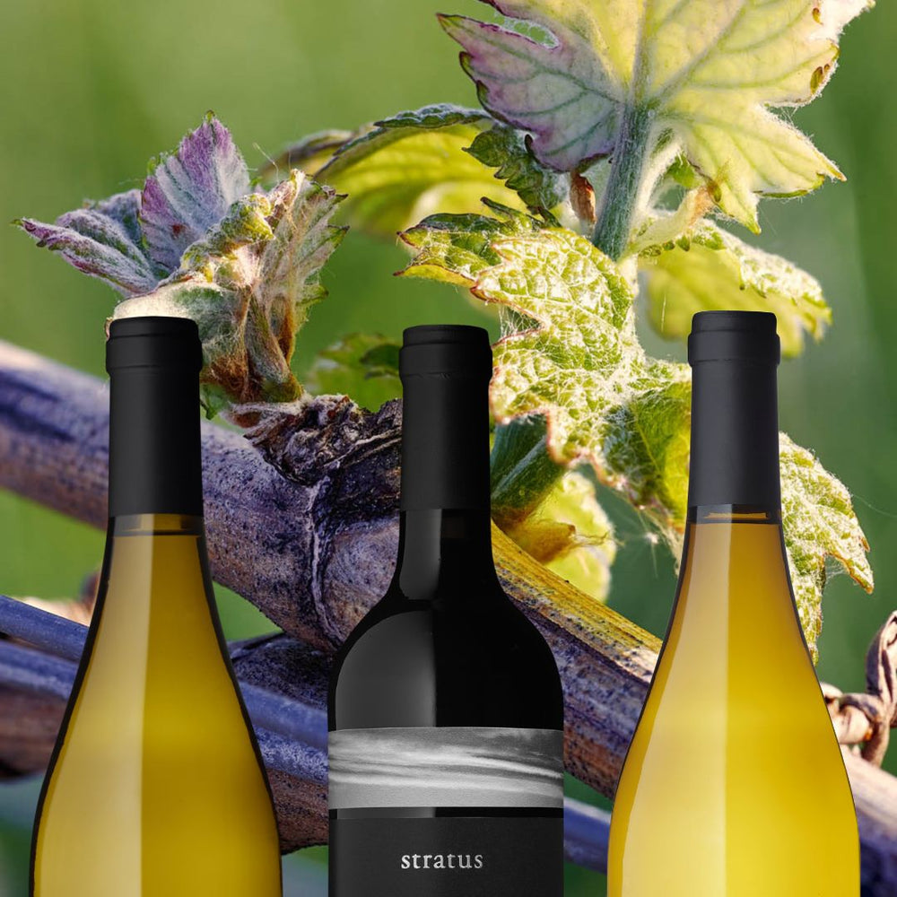 MARCH 2026 CLUB SEASONS | 3 BOTTLE